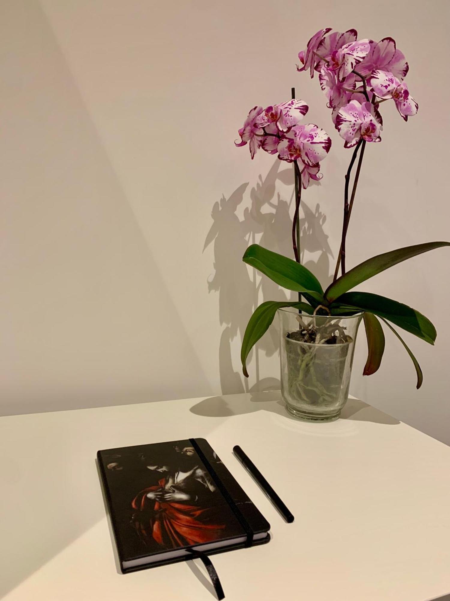 Residenza D'Artista Al Conservatorio Salerno Kültér fotó